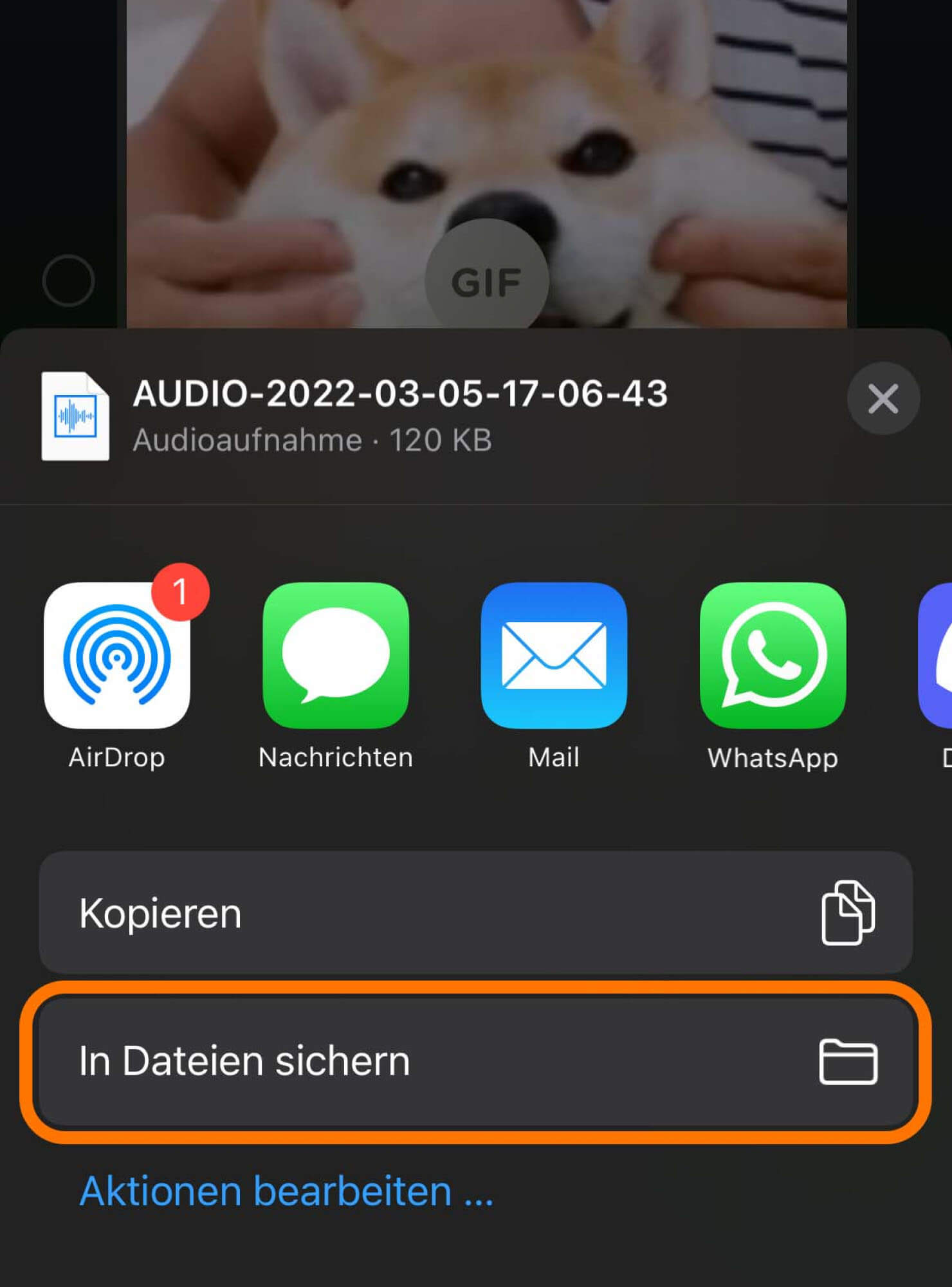 iOS WhatsApp Sprachaufnahme in Dateien sichern